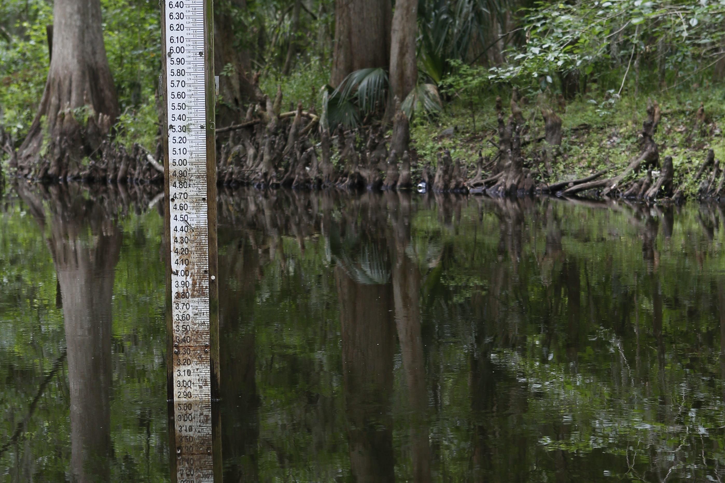 Water level ruler in lake.