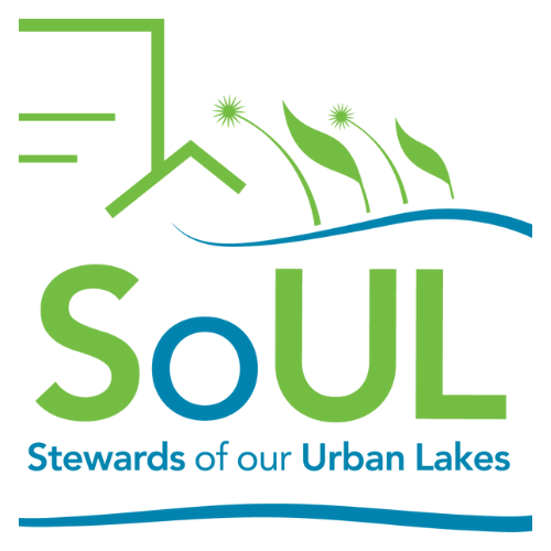 Stewards of Our Urban Lakes