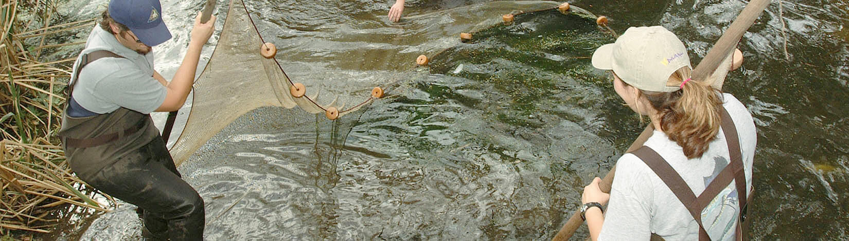 Photo of a volunteer holding a string to pull a sample of water out of a lake